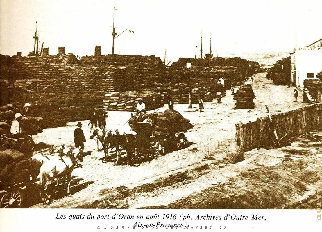 PO e- 369.JPG